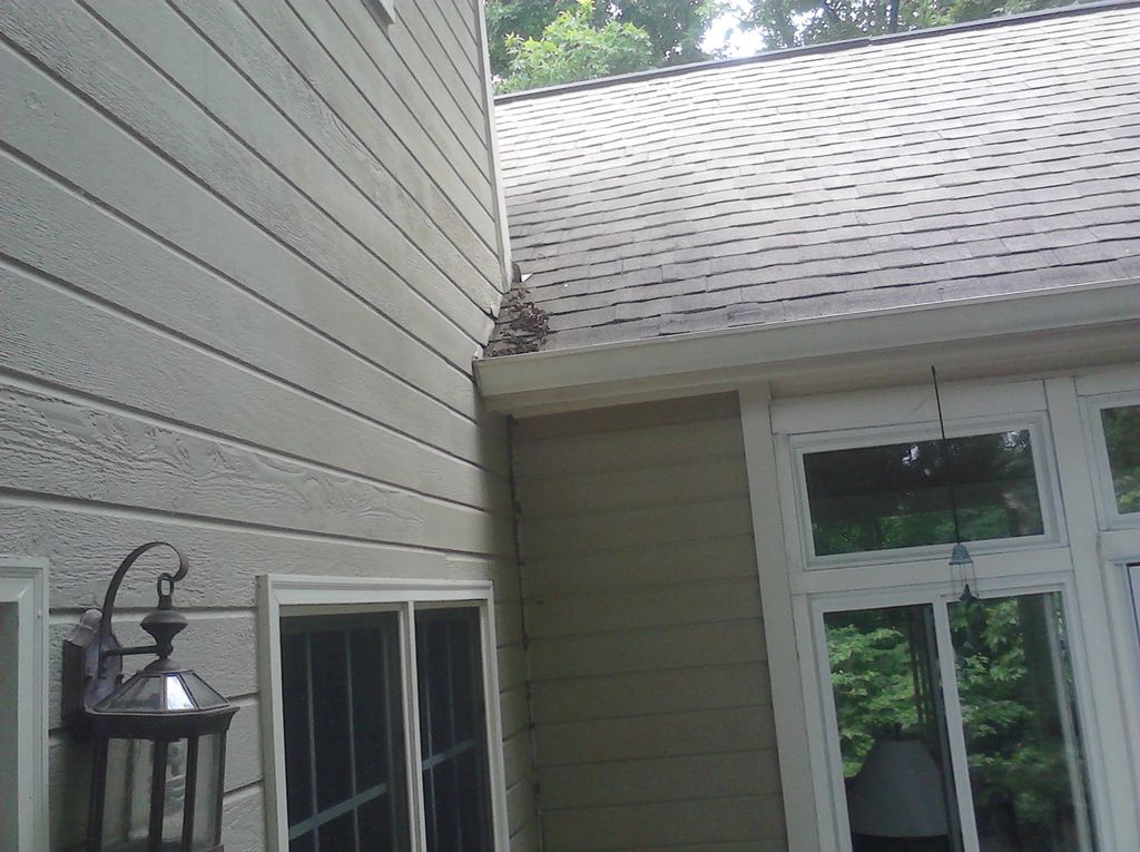 Failing flashing at the roof line.