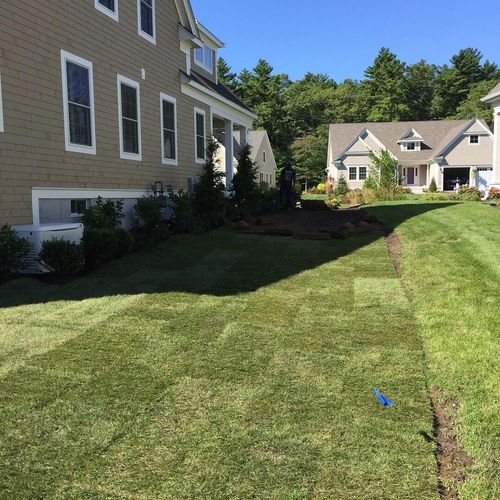 10,00 sq ft of sod installation (side)