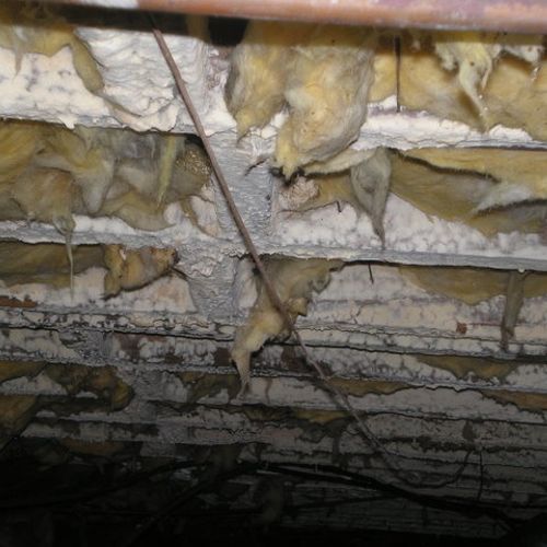 Mold in a Crawl Space that was left growing for ye
