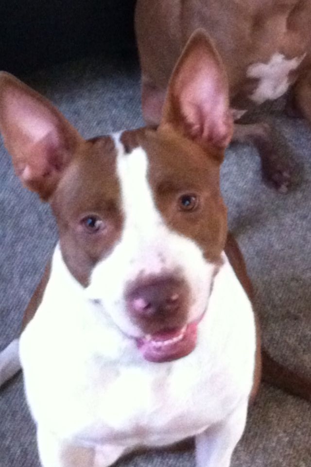 I love when Maria watches me!