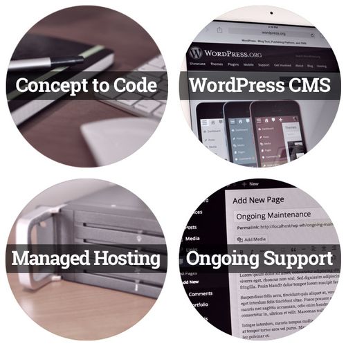 I design, build, host, and support WordPress power