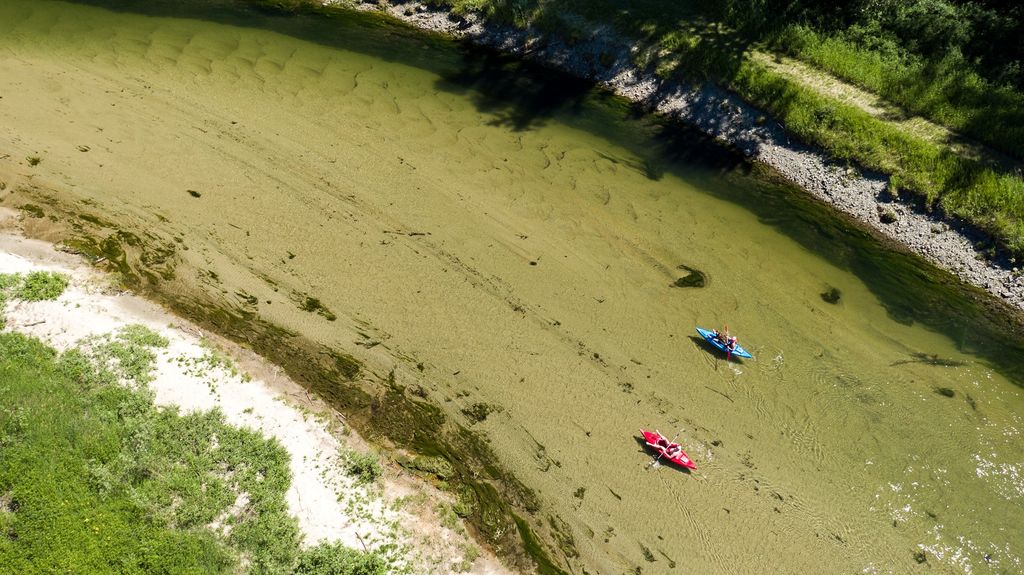 Kayakers on the Pack River, Sandpoint Idaho