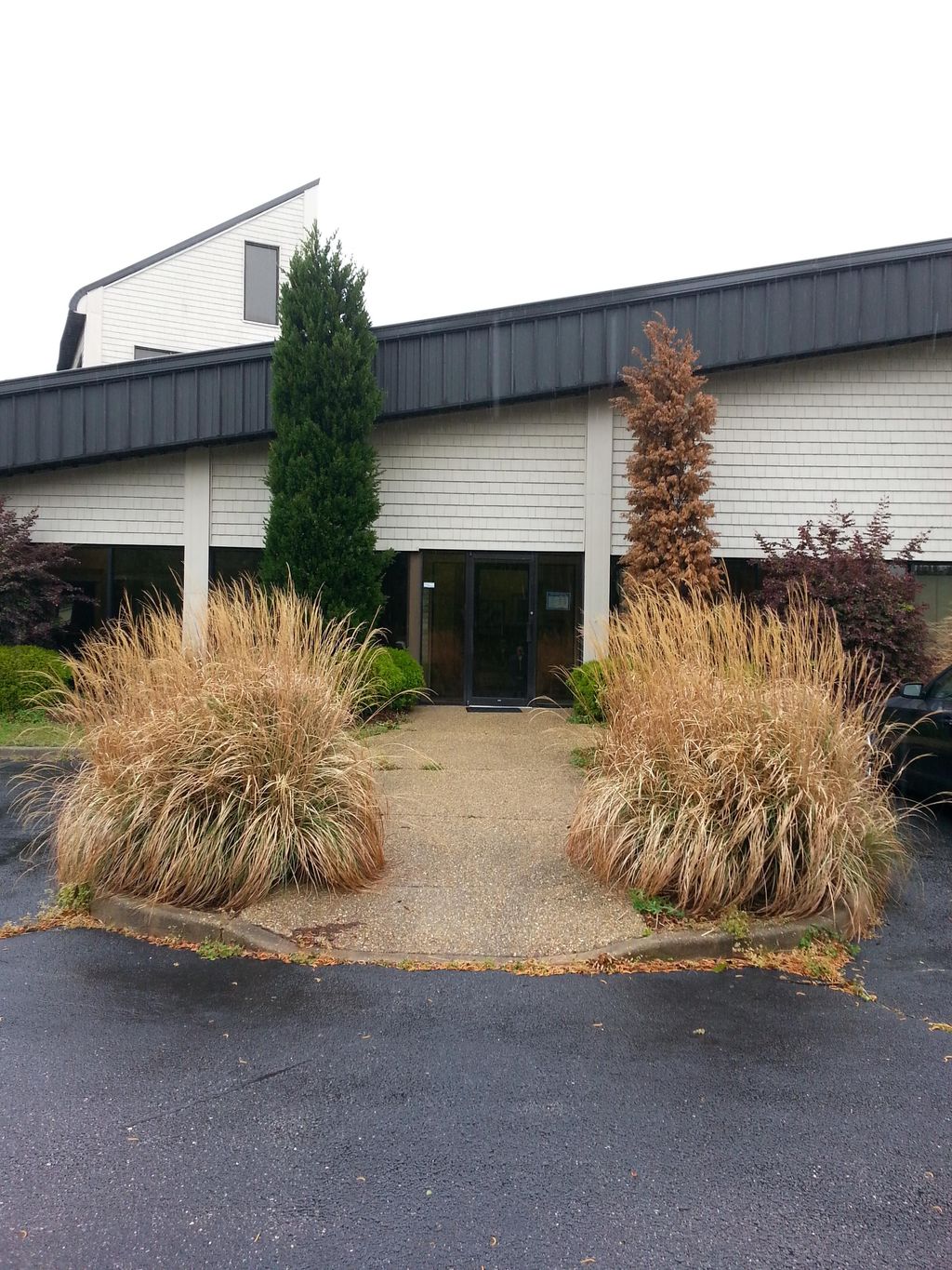 BEFORE Trimming and Shrub Removal/Replacement