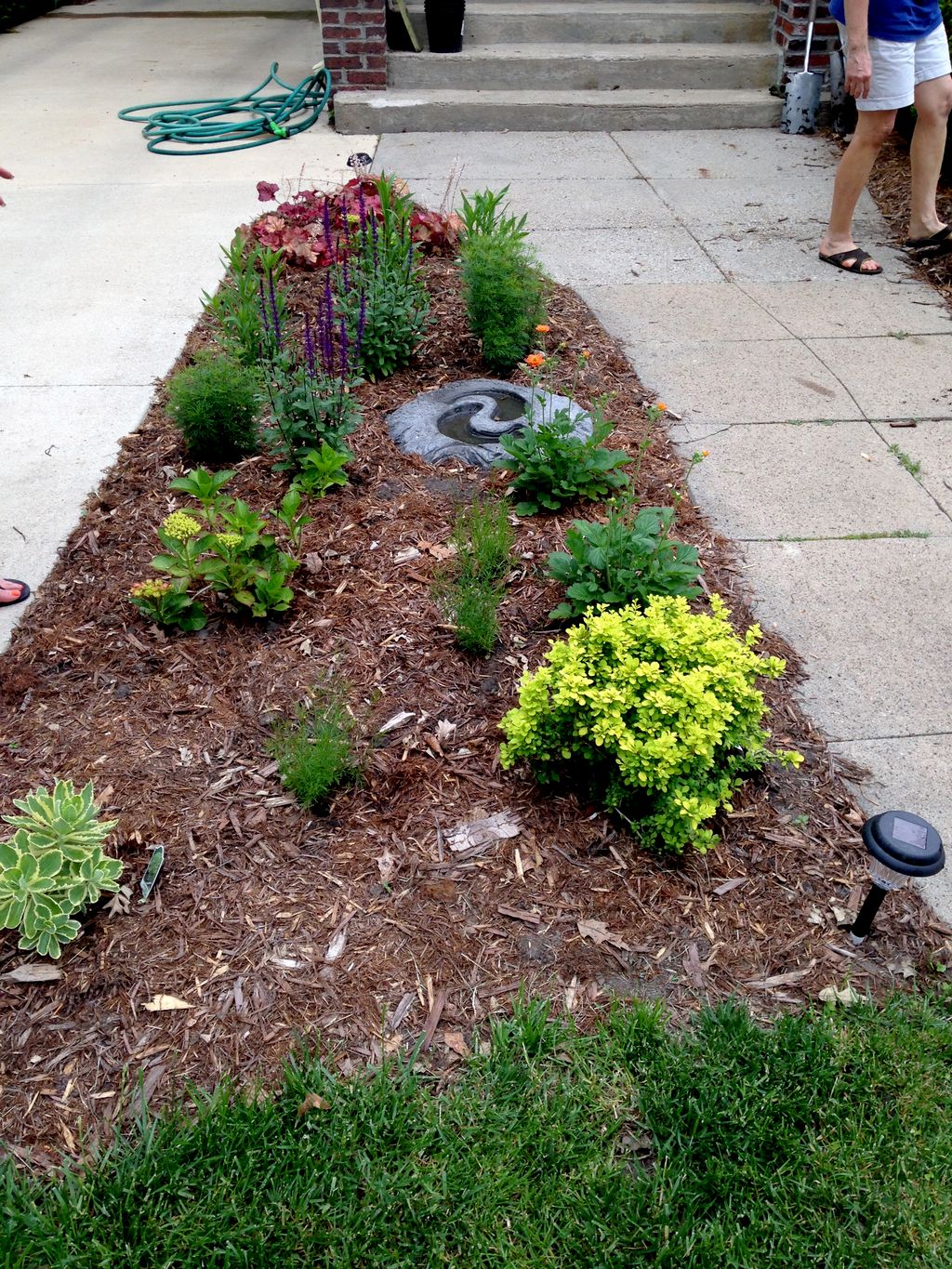 New entry garden instalation