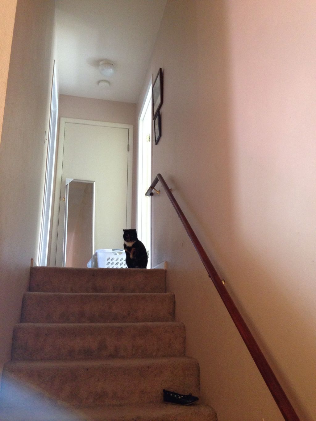 Hallway Before Color Change