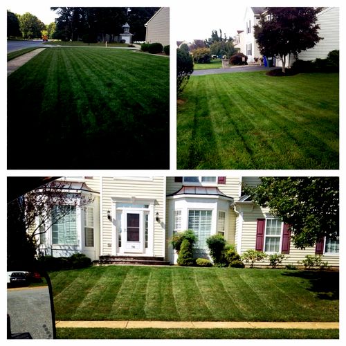 An example of some of the yards we manage.