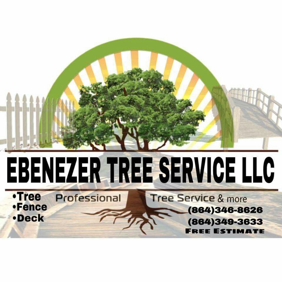Ebenezer trees service & more
