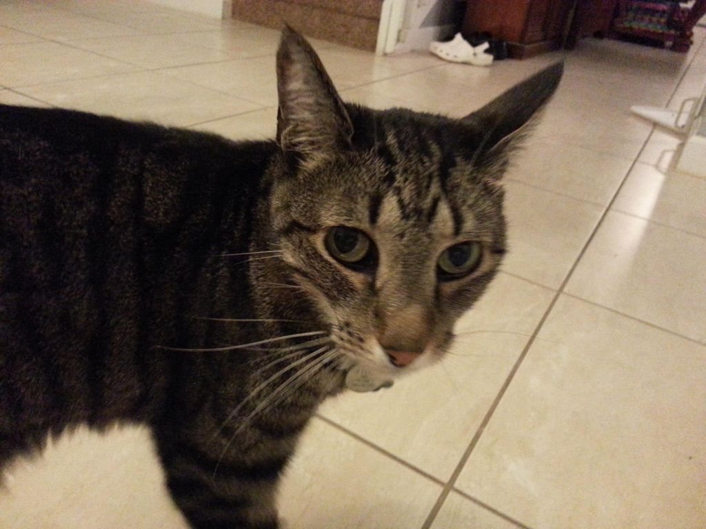 Henry