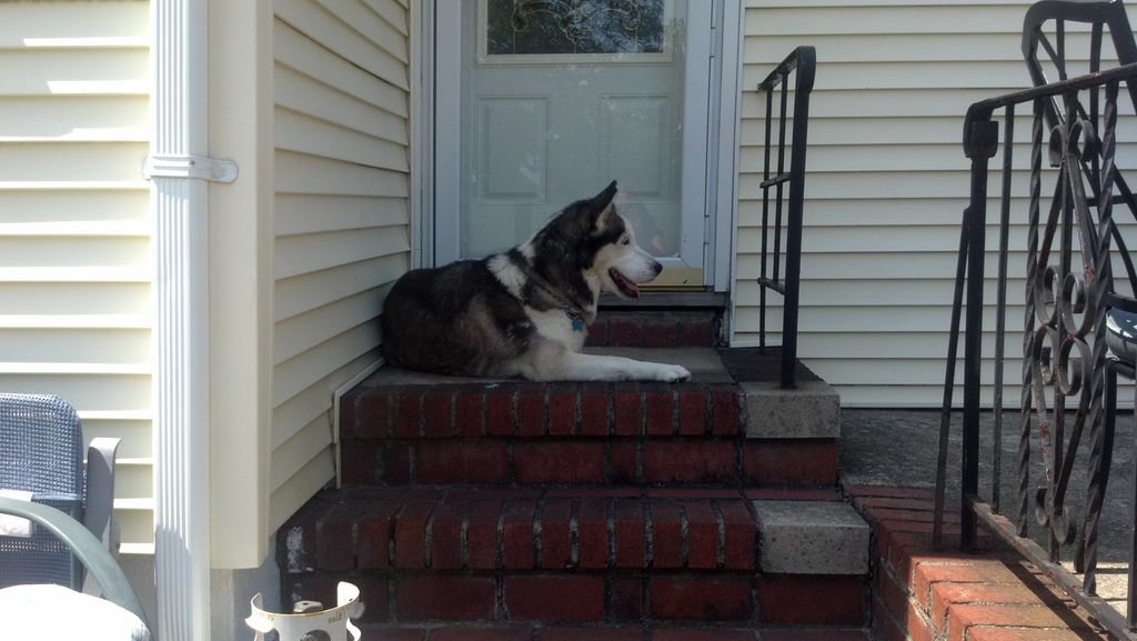 KIMO, boarding Client!