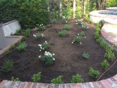 Avatar for Gabriel's Lawn n Landscape services