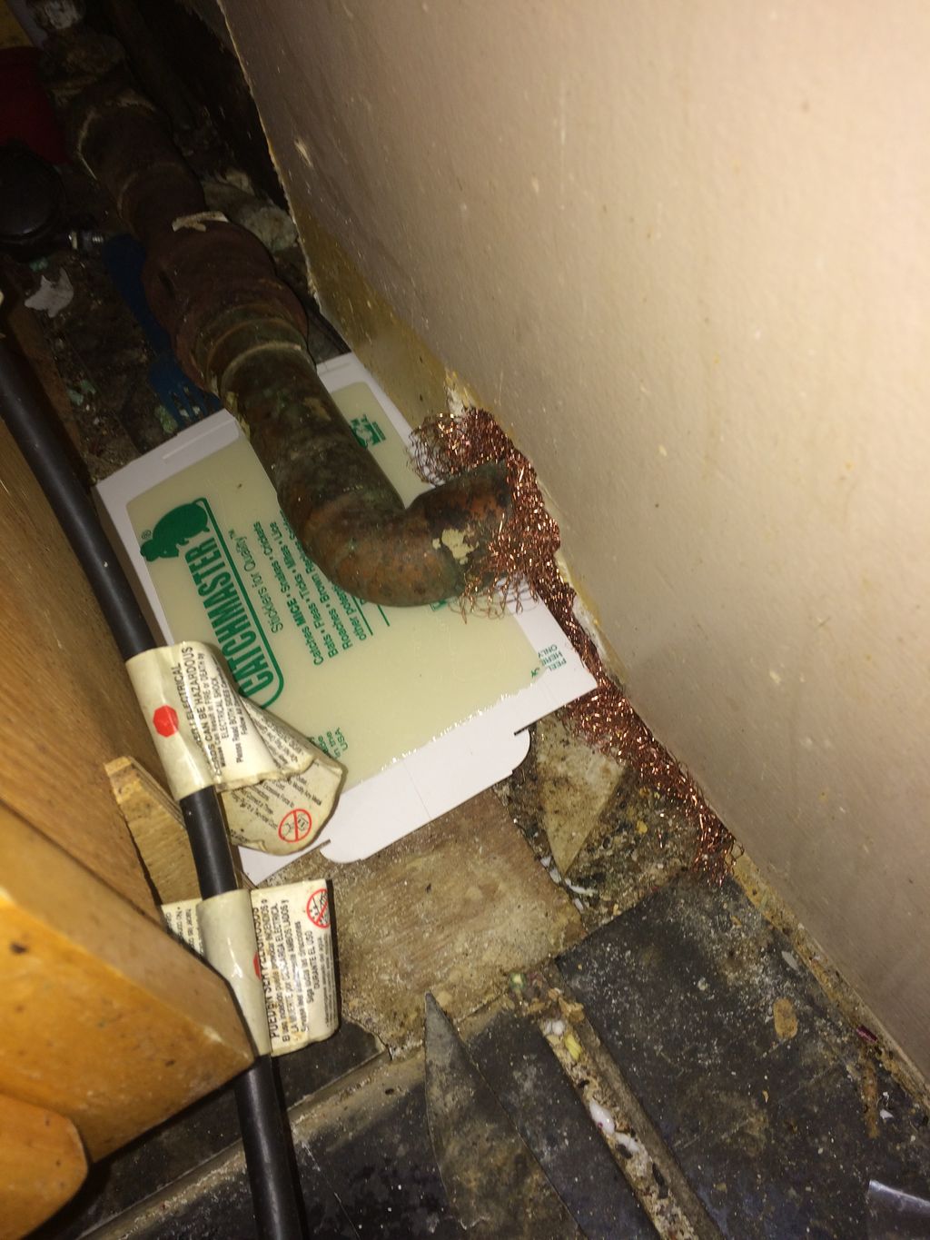 Get your rodent proofing today!