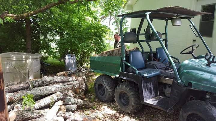 tree removal.....         frankfort ky