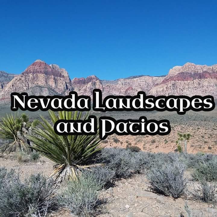 Nevada Landscapes and Patios