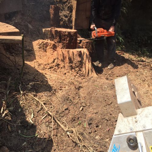 Stump Grinding a 4.5ft stump 