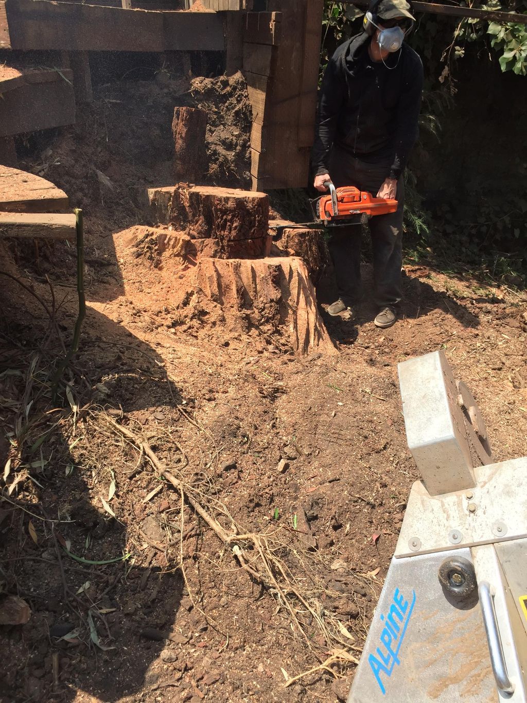 Stump Grinding a 4.5ft stump 