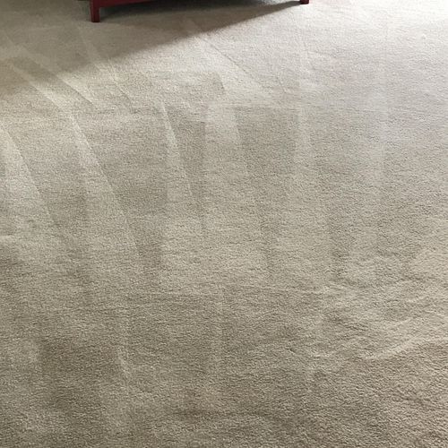 Dl Carpet Care Lansing Il