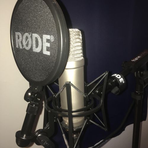 Rode NT1-A Microphone (great for audio recordings 