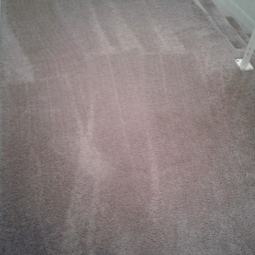 After carpet vacuuming