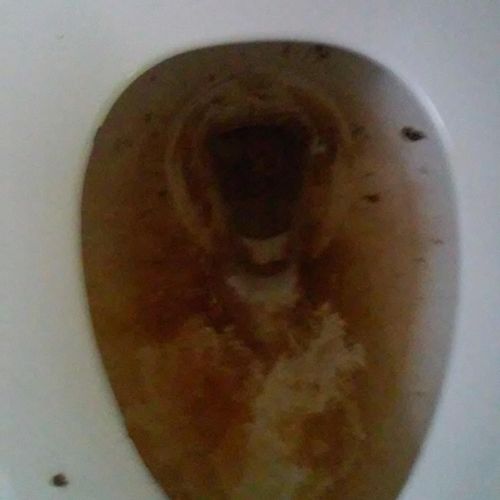 Toilet before cleaning.
