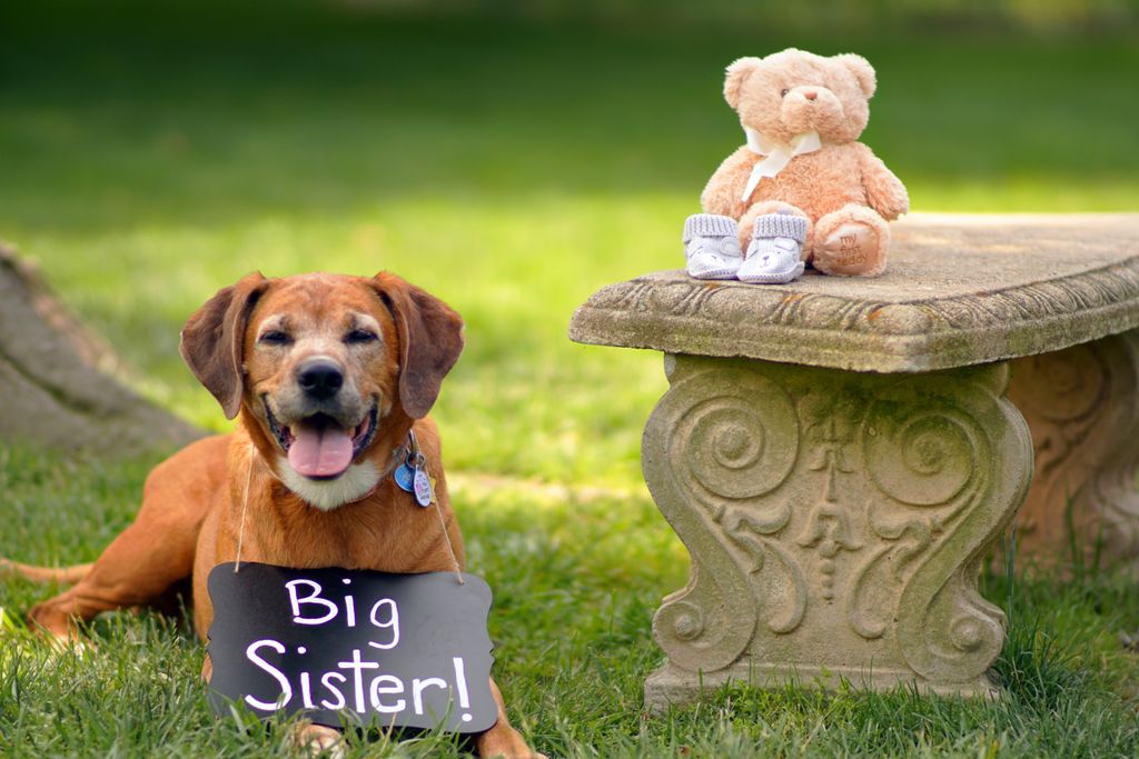 Baby Announcement