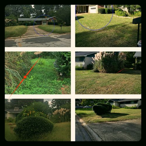 Before and After Lawn Care 9/14/18