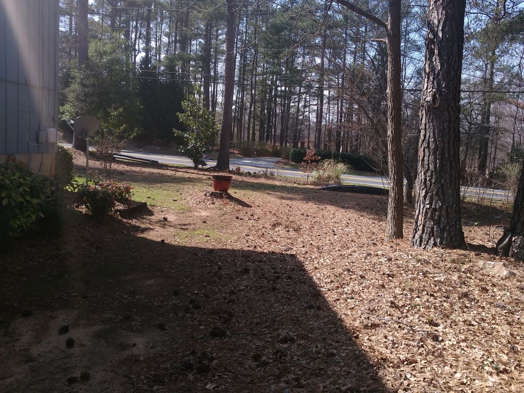 Yes, we manage landscaping services or your existi