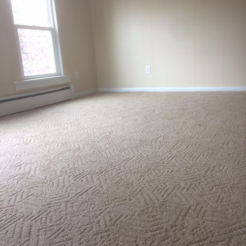 Fresh clean carpets using professional carpet extr