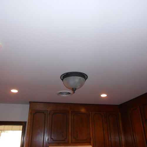 New Ceiling Fixture with 4" Can Lights
