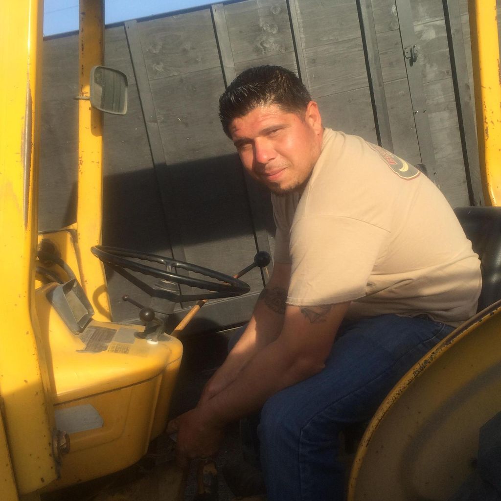 DLT Landscape and Maintenance