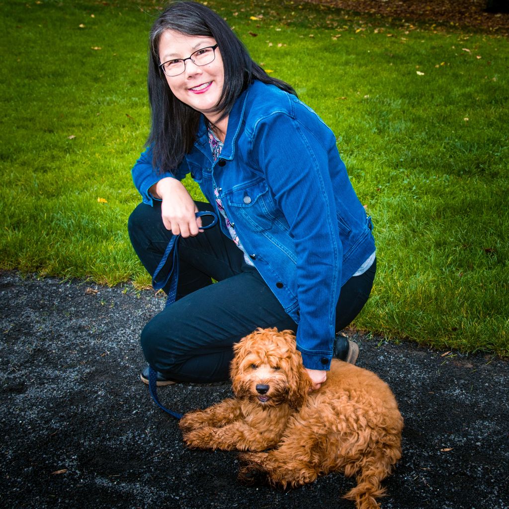 Happy Dogz Dog Training