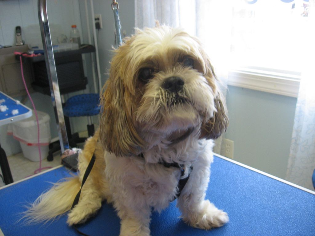 rocky before