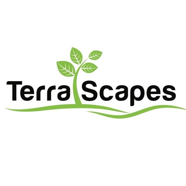 Terra Scapes