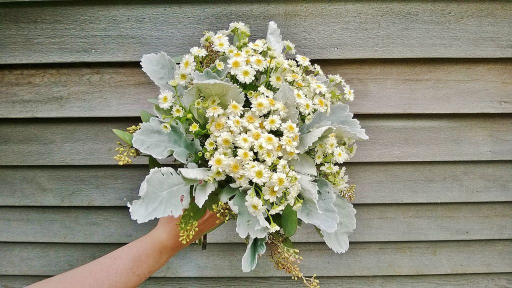 nothing says wildflower like chamomile