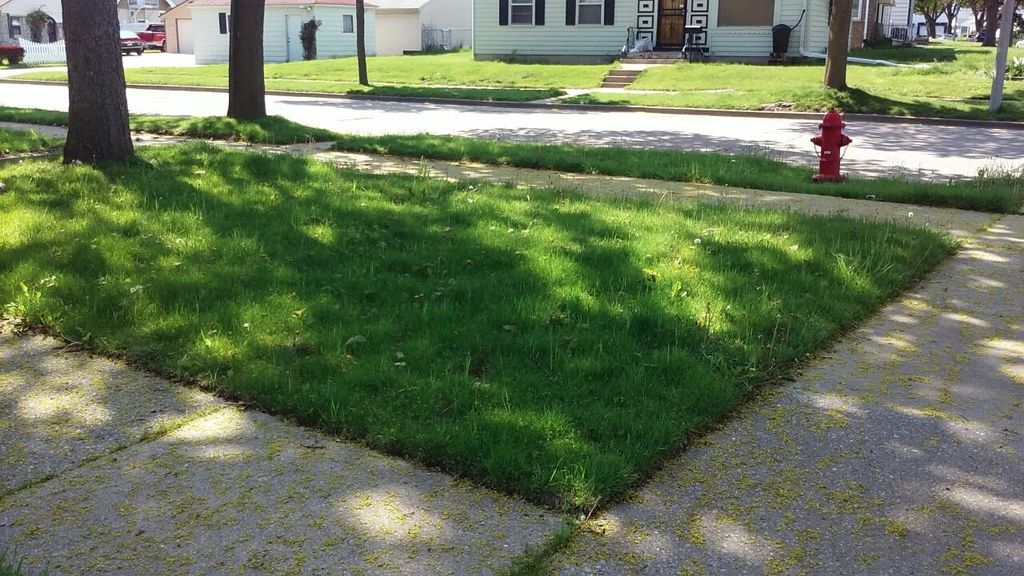 Front side Lawn (Before)