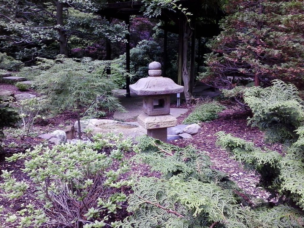 Coaching on mindfulness and meditation practices t