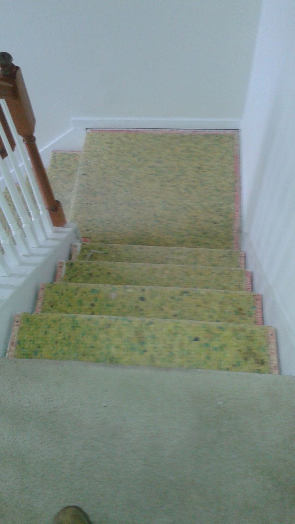 Carpet Installation Before