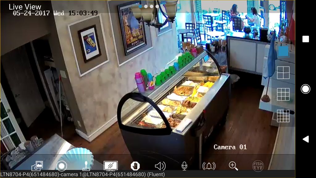 LTS 4.1 MP IP cameras