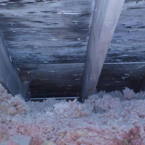 We can get the moldiest attics clean so your home 