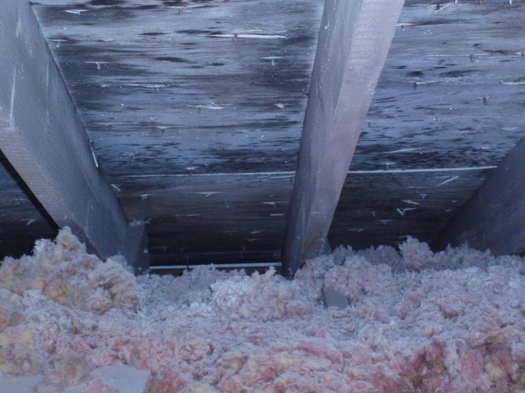 We can get the moldiest attics clean so your home 