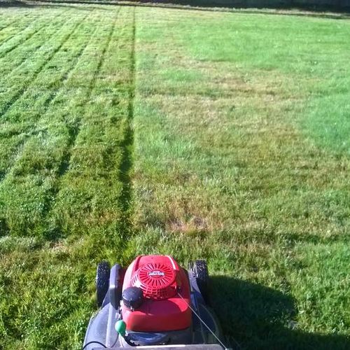 A nice picture of mowing action!