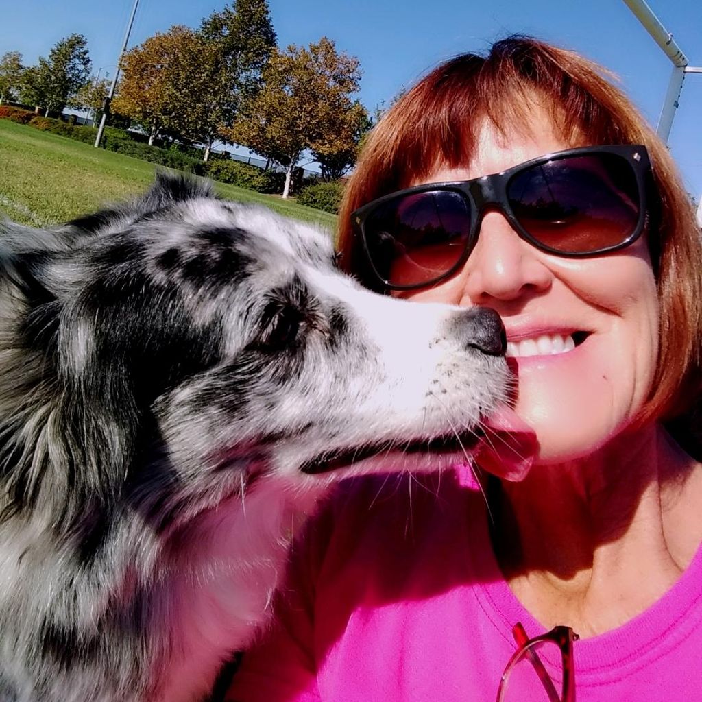 Sit & Stay Pet Care