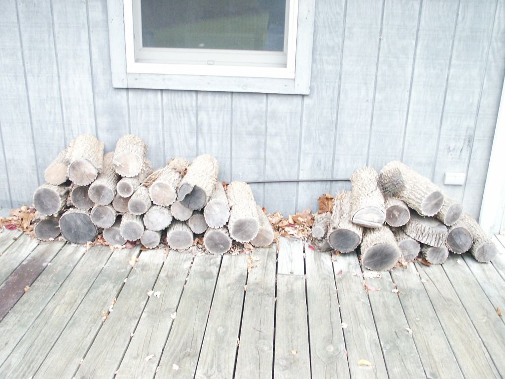 This was a Home Inspection for a Client wanting to