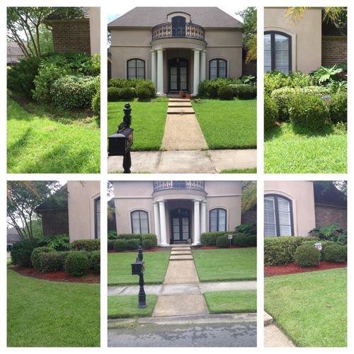Flower Bed Cleanup. BEFORE/AFTER. 