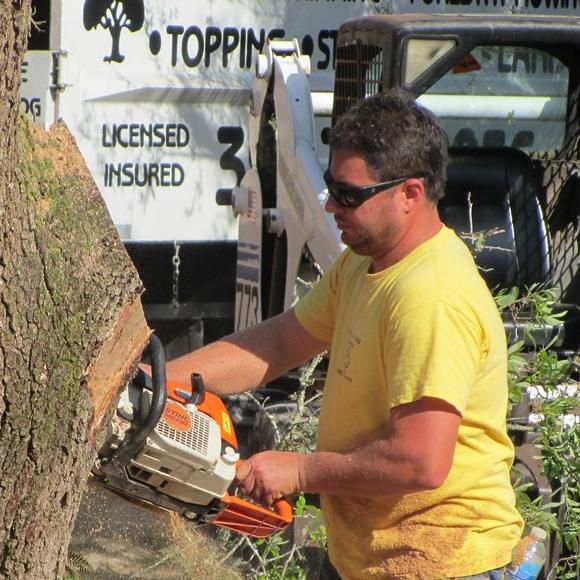 Michael Failla's Tree Service