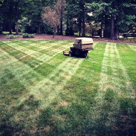 The Cutting edge lawn and landscaping