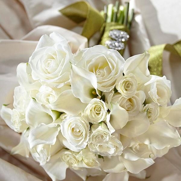 Your Perfect Officiant