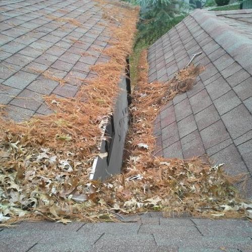 this gutter was filled with pine needles, leaves, 
