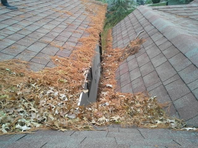 this gutter was filled with pine needles, leaves, 