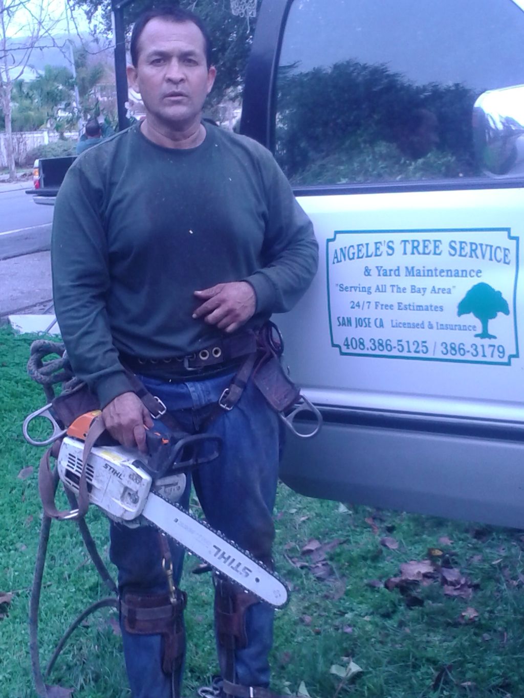 Angele's Tree Service
