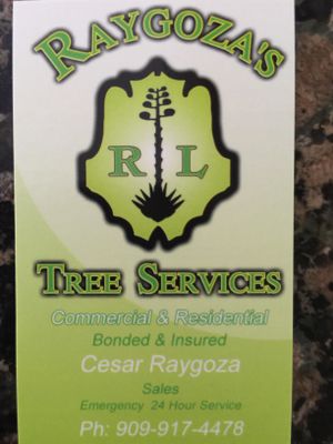 Avatar for Raygoza's Landscaping